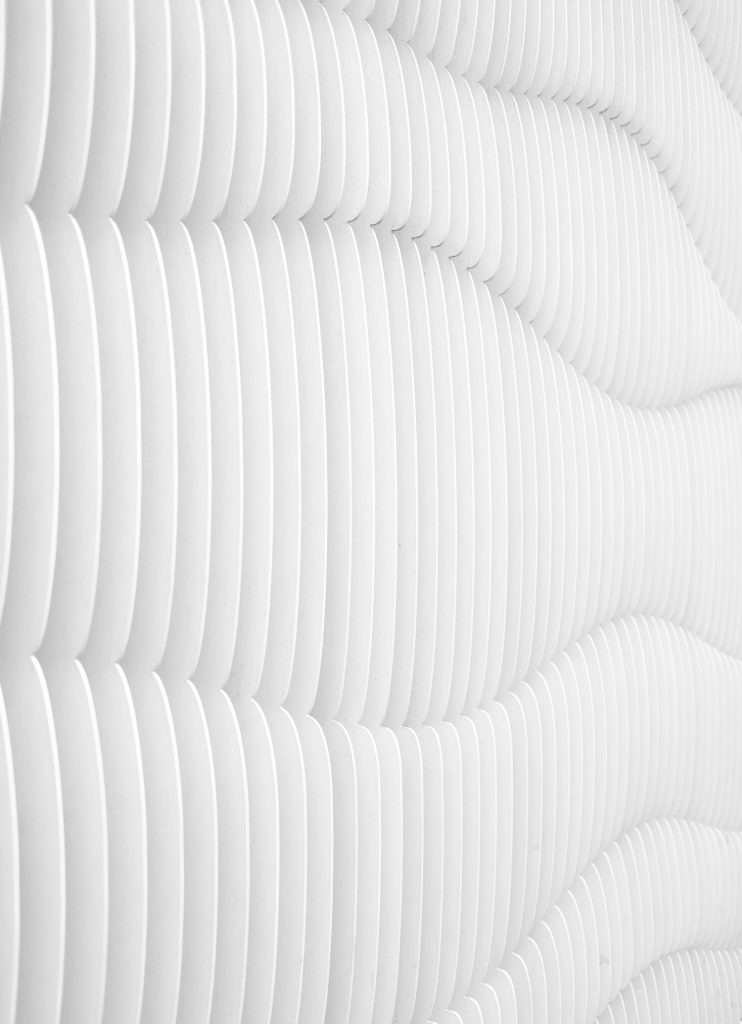 Image of white contrasts