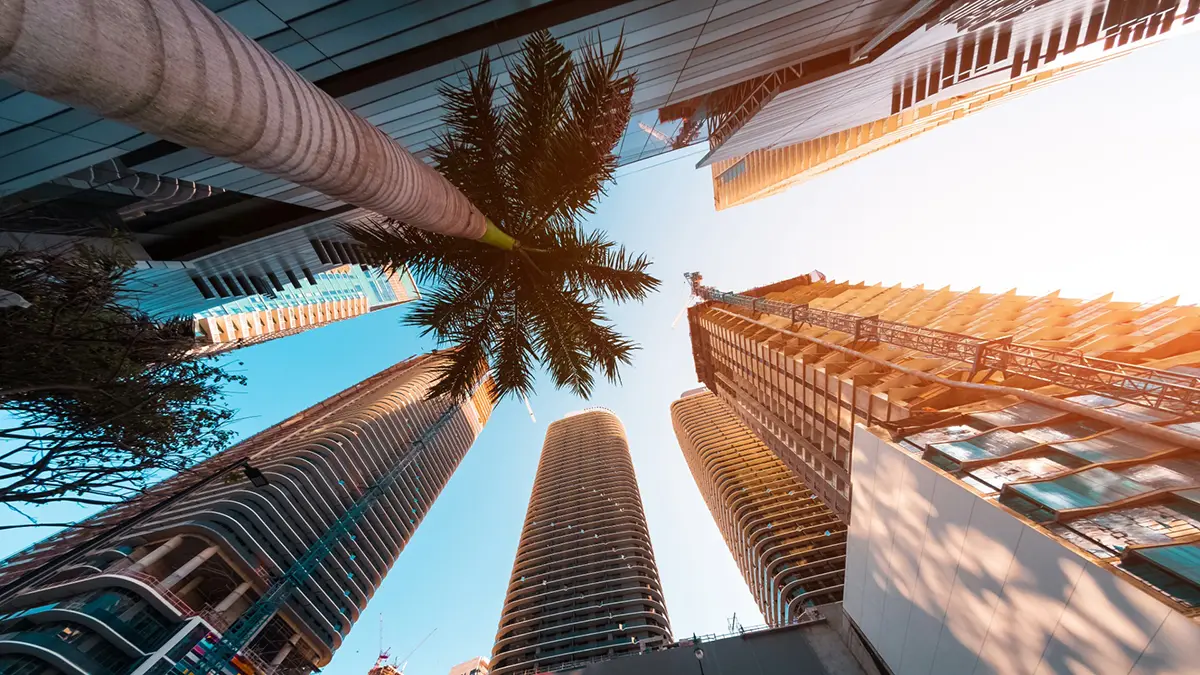 Image taken from below of high rise buildings in Miami with a palm tree