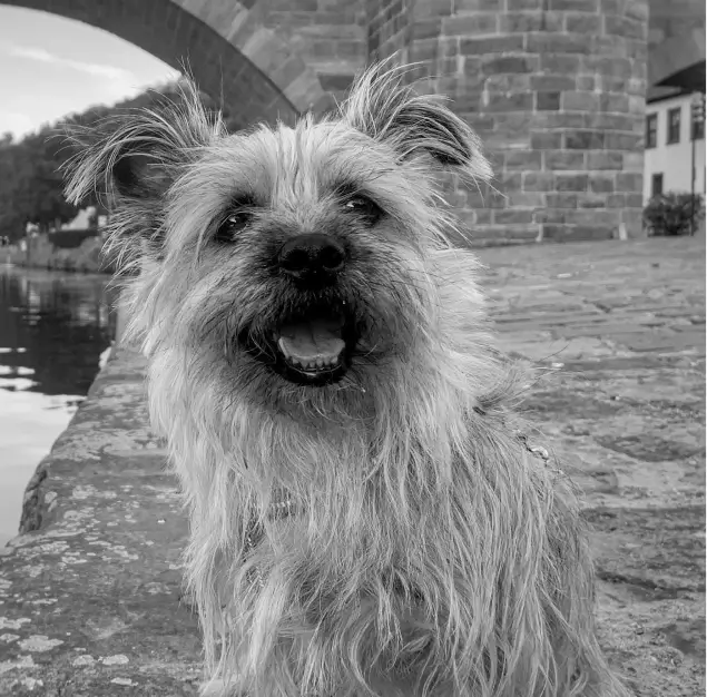 Black and white image of Salma, Head of Strategic Scruff Management at Avinode Group